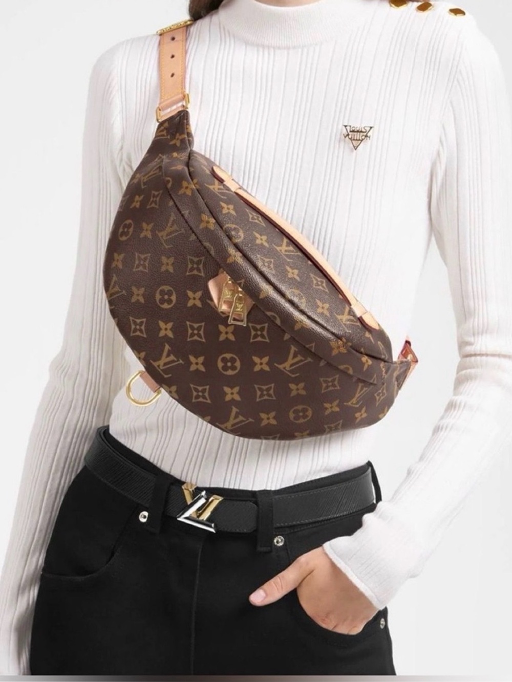 Louis Vuitton monogram Bum Bag